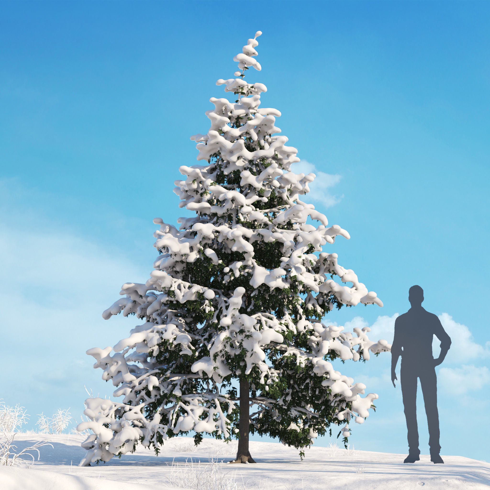 Archmodels vol 278 - collection of winter trees 3D model_43