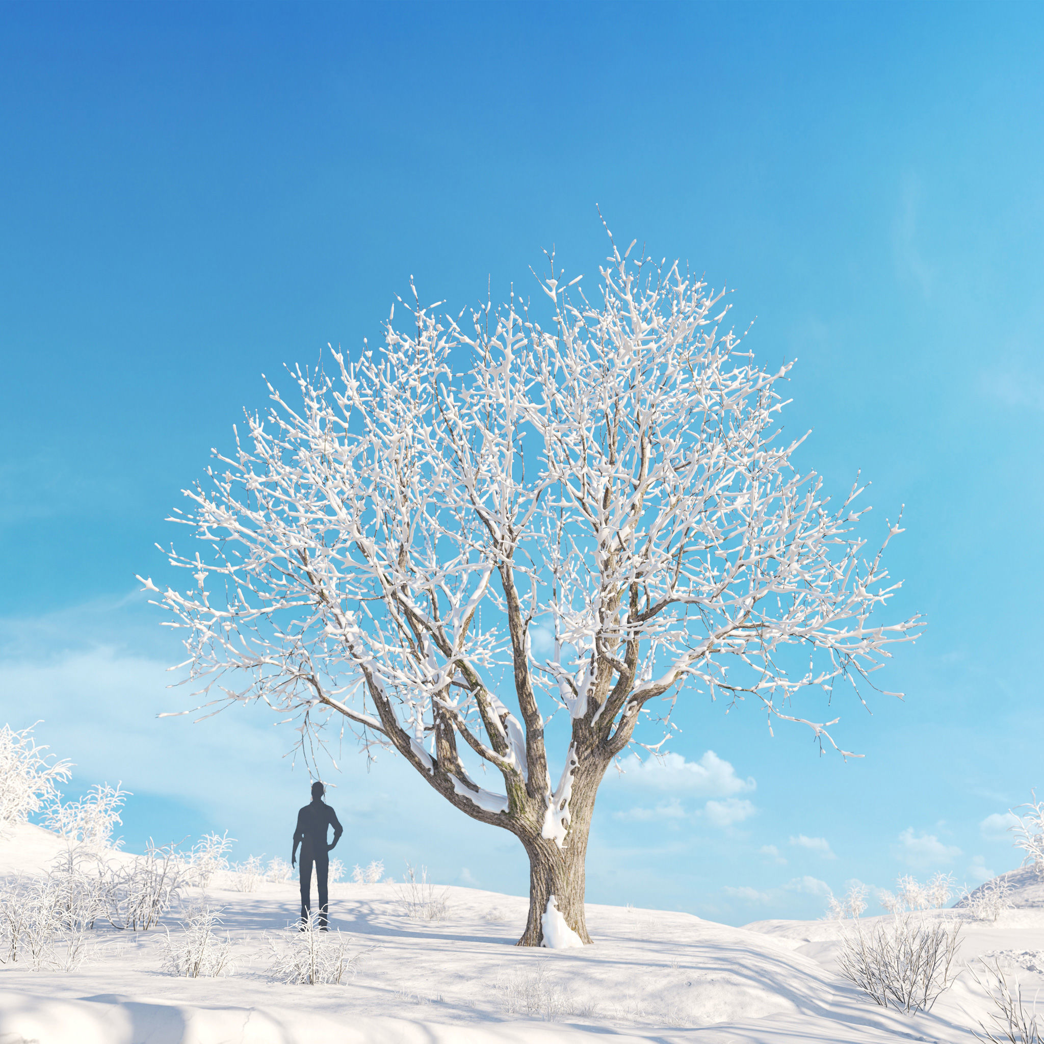 Archmodels vol 278 - collection of winter trees 3D model_11
