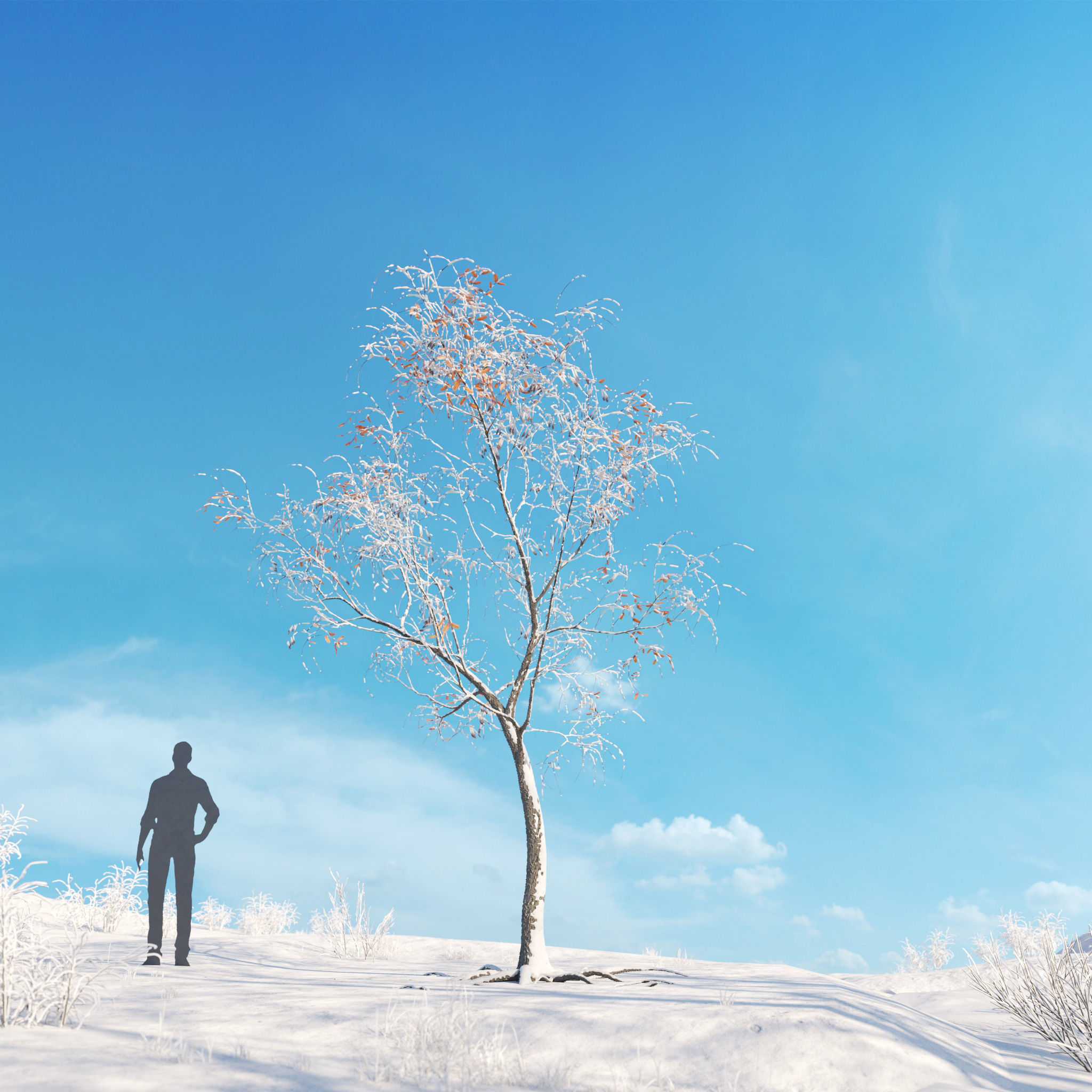 Archmodels vol 278 - collection of winter trees 3D model_47