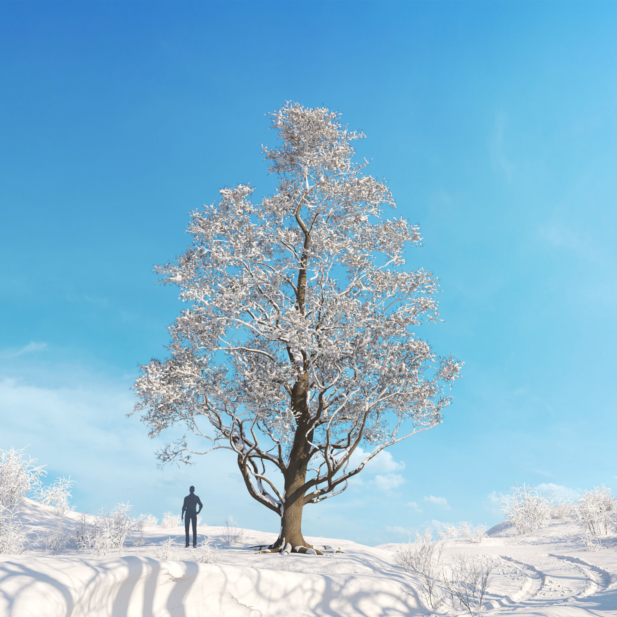 Archmodels vol 278 - collection of winter trees 3D model_21