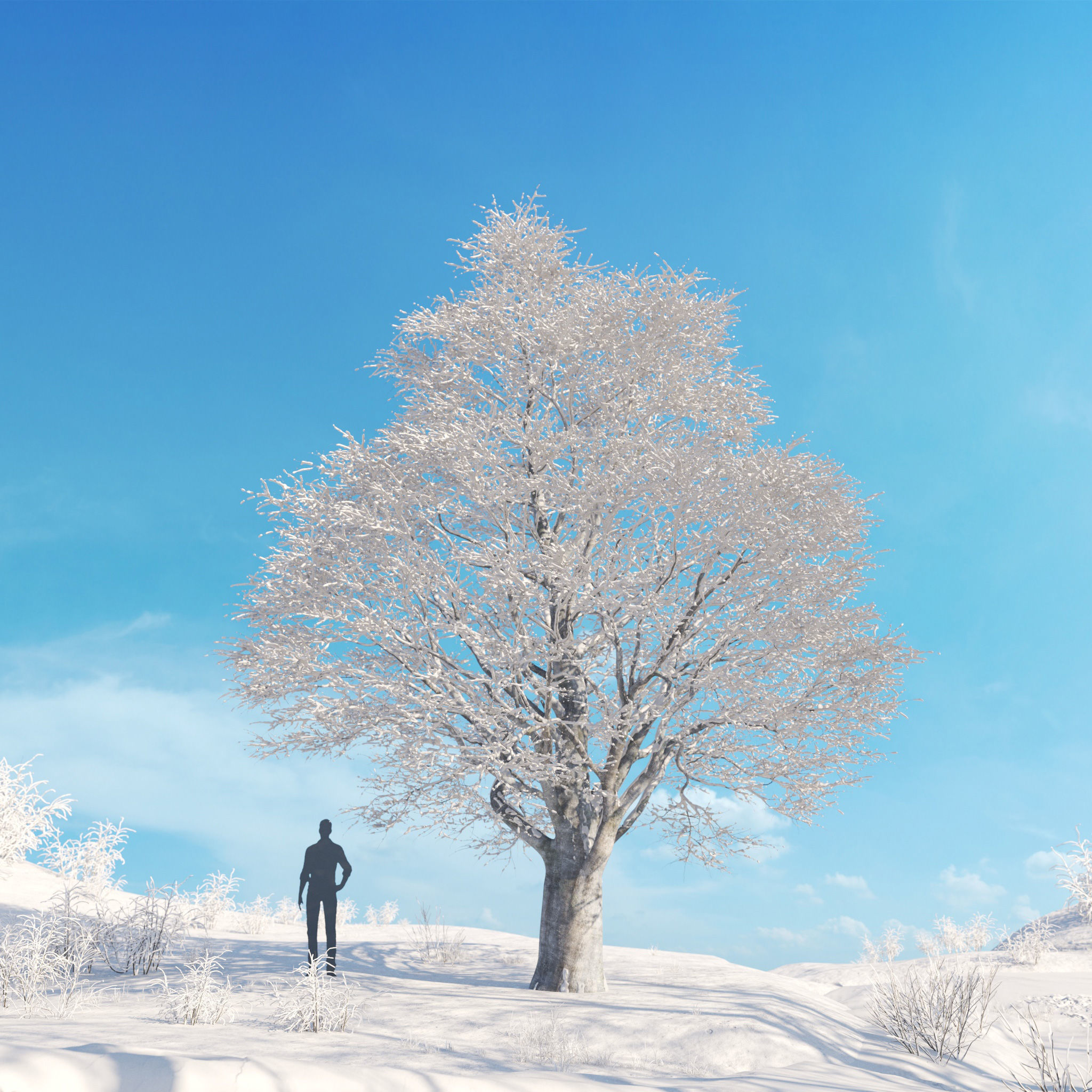 Archmodels vol 278 - collection of winter trees 3D model_40