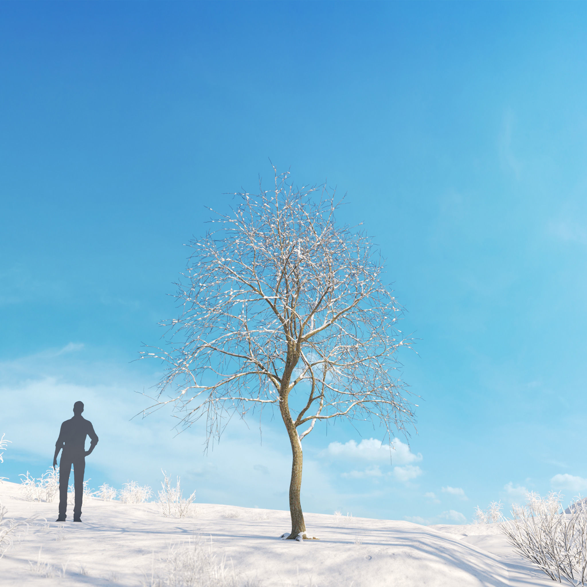 Archmodels vol 278 - collection of winter trees 3D model_49
