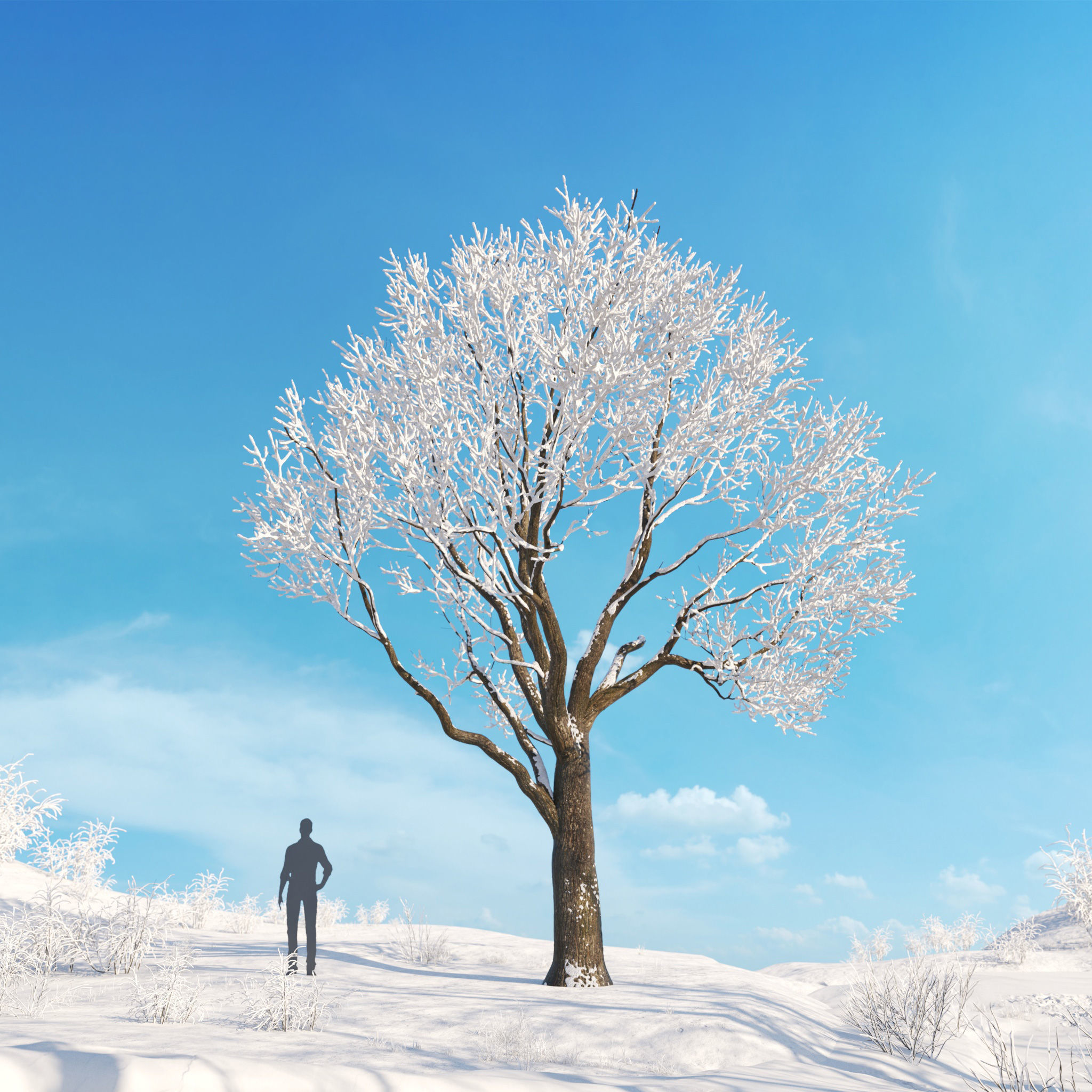 Archmodels vol 278 - collection of winter trees 3D model_14