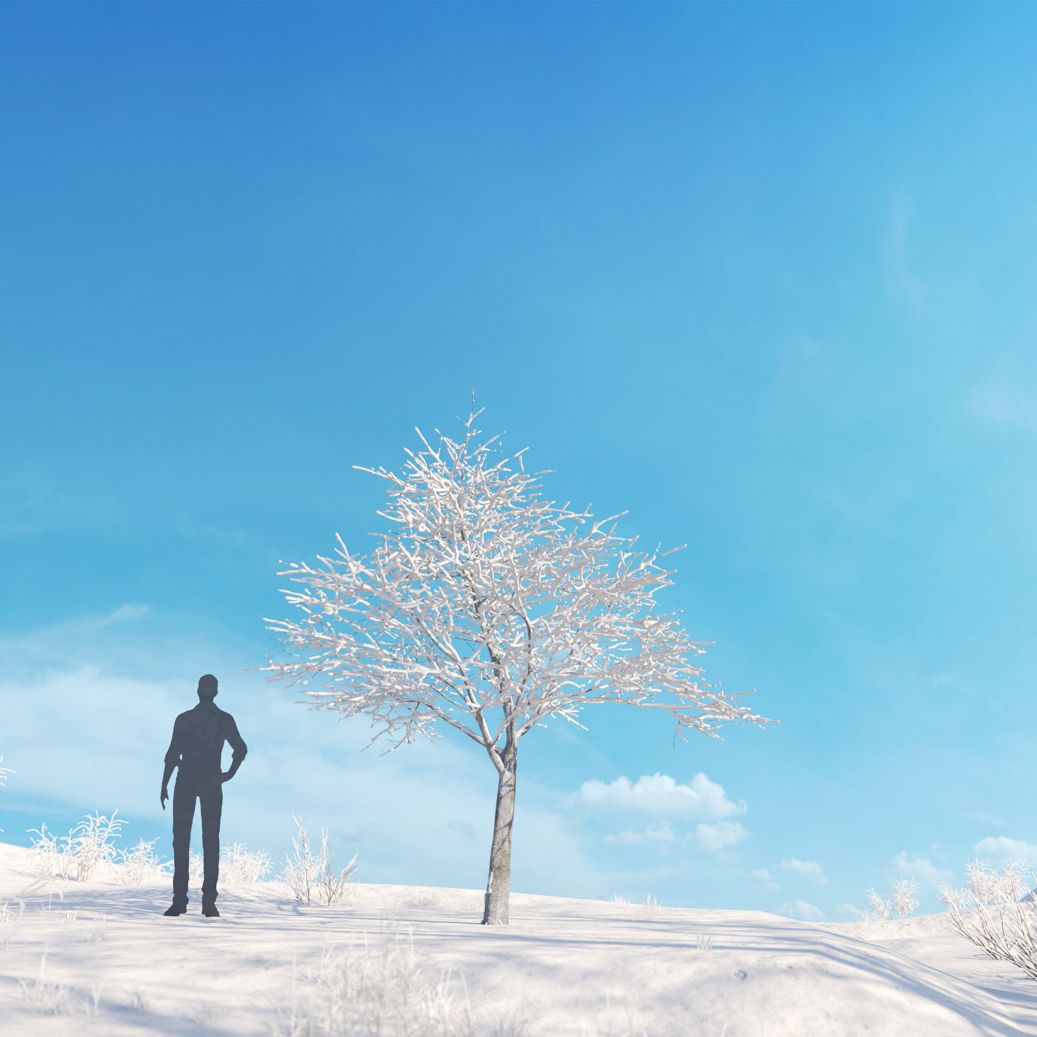 Archmodels vol 278 - collection of winter trees 3D model_37