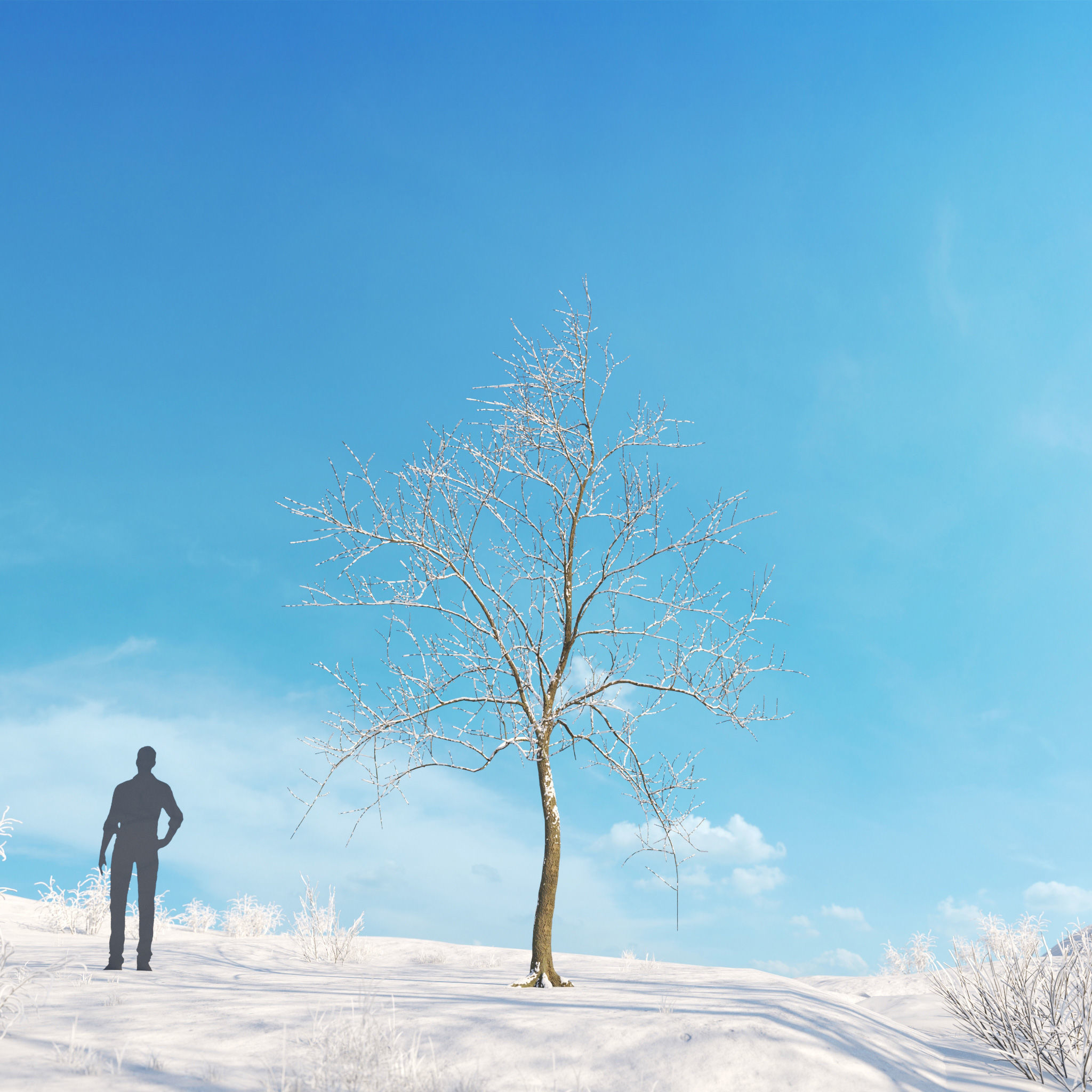 Archmodels vol 278 - collection of winter trees 3D model_5