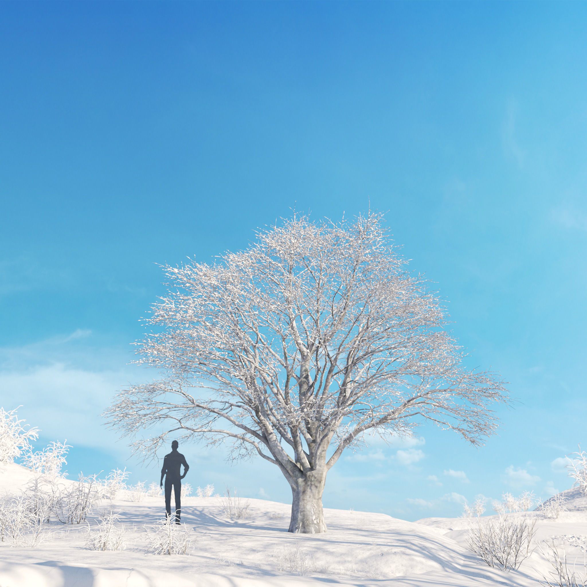 Archmodels vol 278 - collection of winter trees 3D model_39