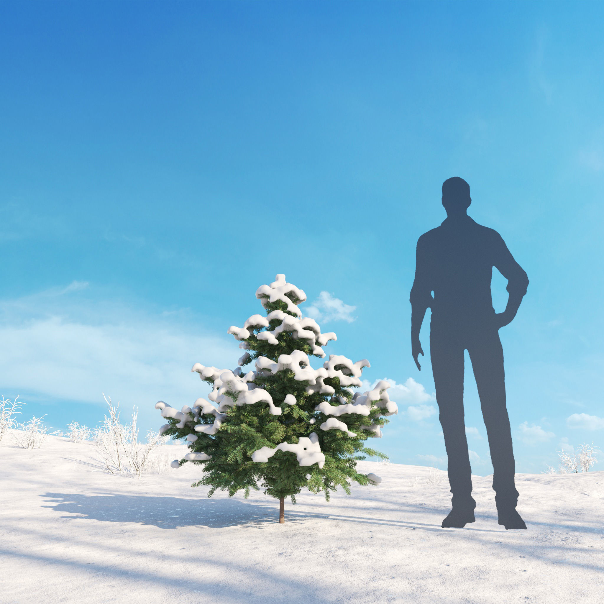 Archmodels vol 278 - collection of winter trees 3D model_36