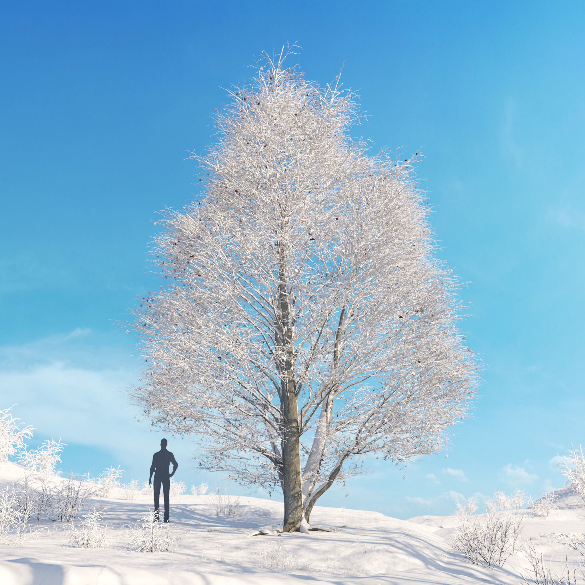 Archmodels vol 278 - collection of winter trees 3D model_2