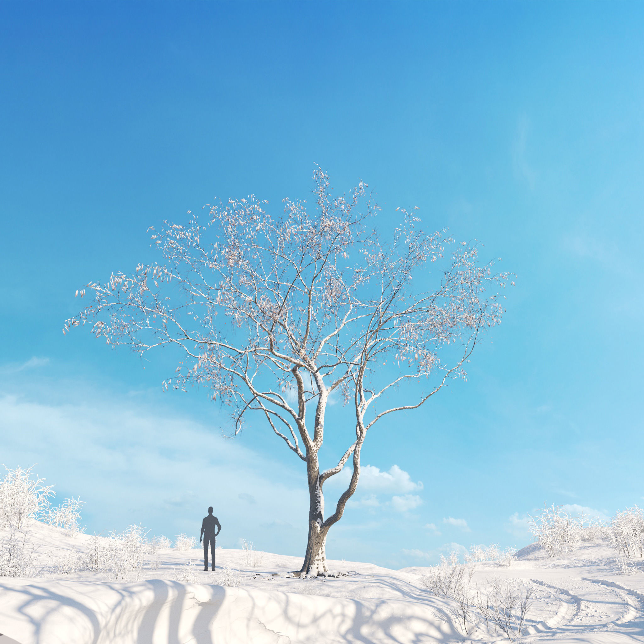 Archmodels vol 278 - collection of winter trees 3D model_46