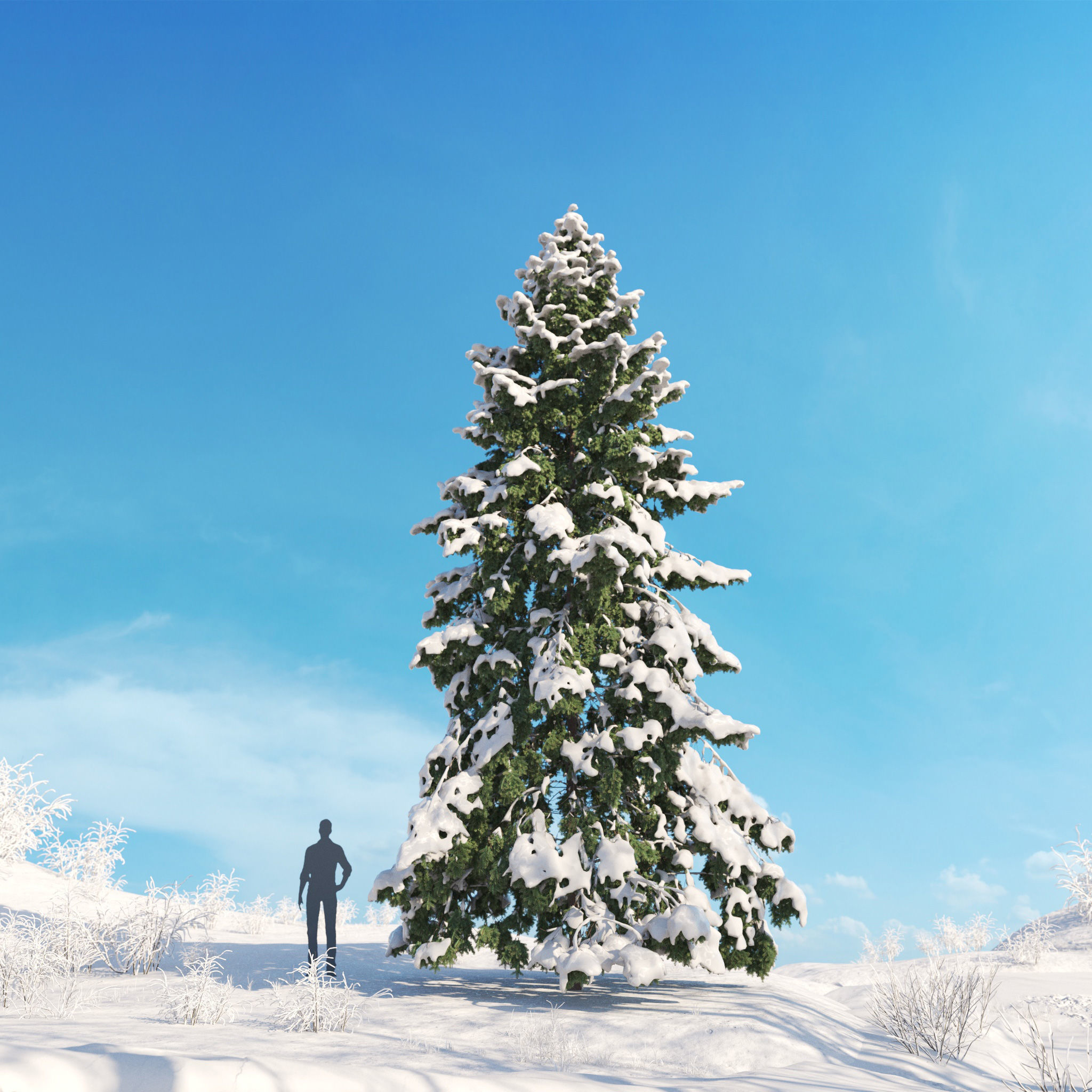 Archmodels vol 278 - collection of winter trees 3D model_34