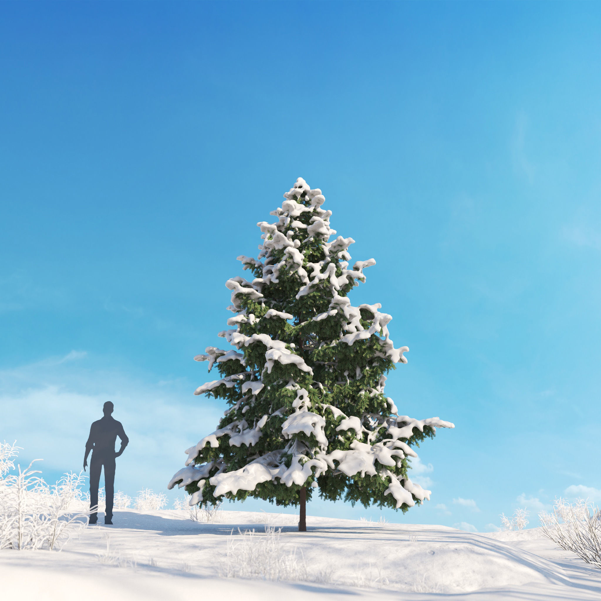 Archmodels vol 278 - collection of winter trees 3D model_35