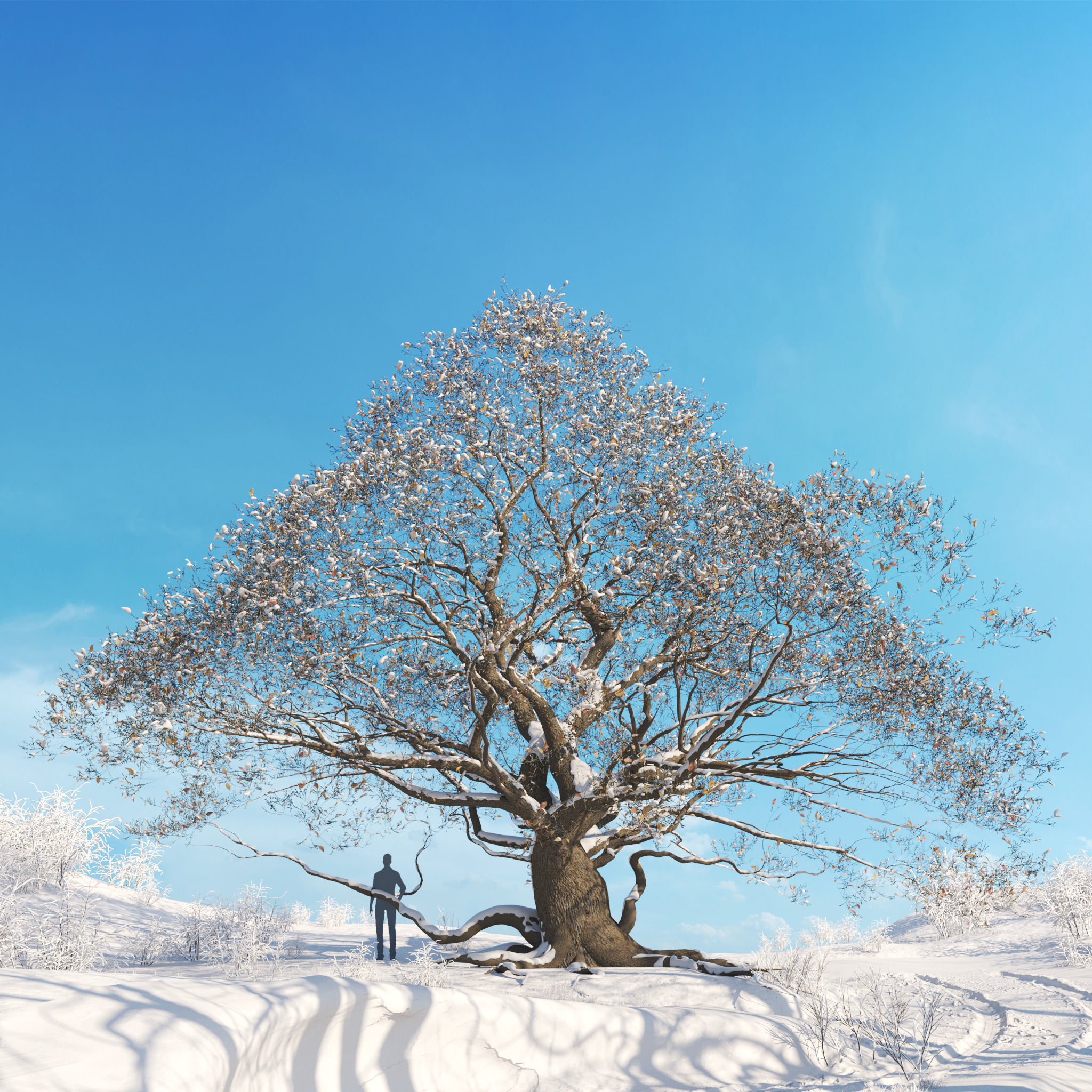Archmodels vol 278 - collection of winter trees 3D model_22