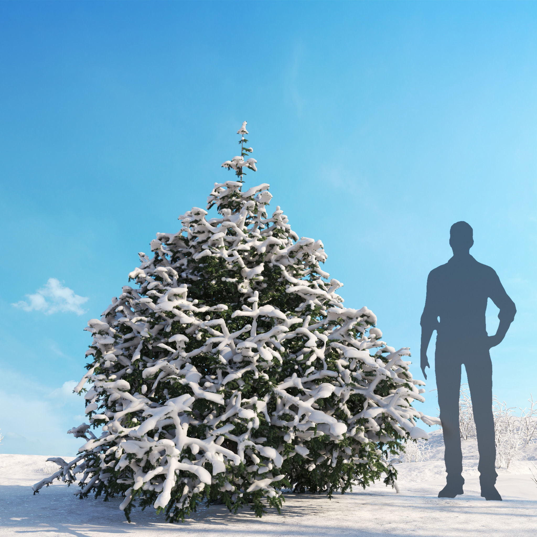 Archmodels vol 278 - collection of winter trees 3D model_44