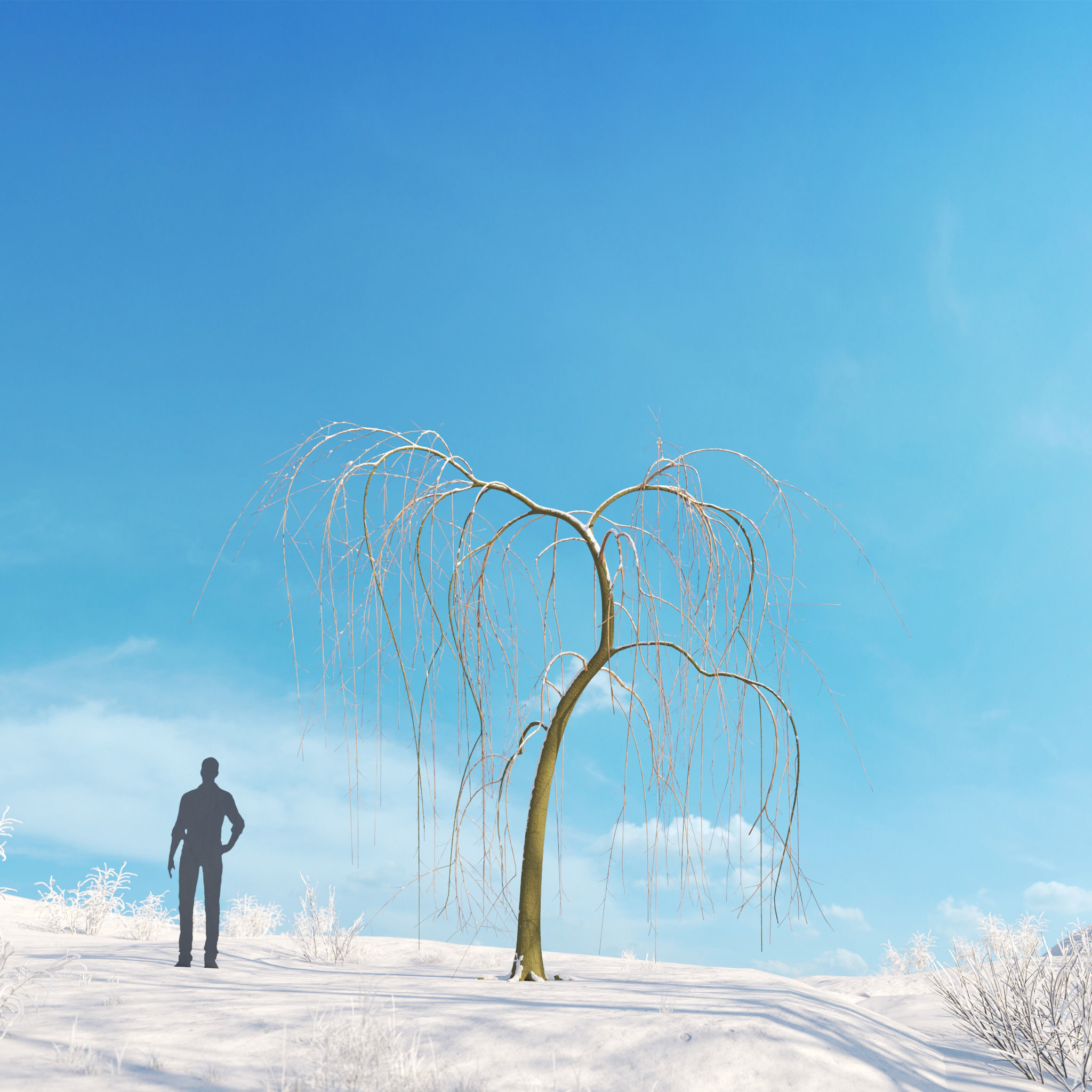 Archmodels vol 278 - collection of winter trees 3D model_17