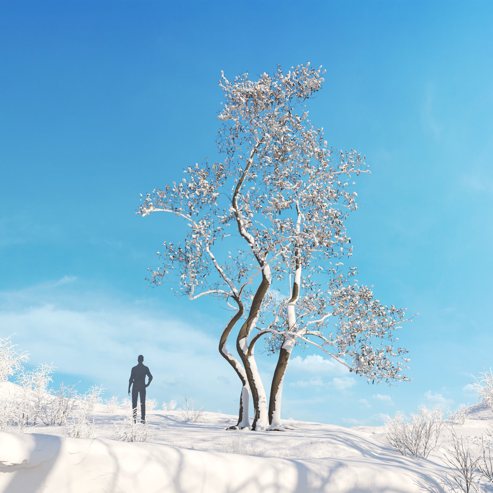 Archmodels vol 278 - collection of winter trees 3D model_23