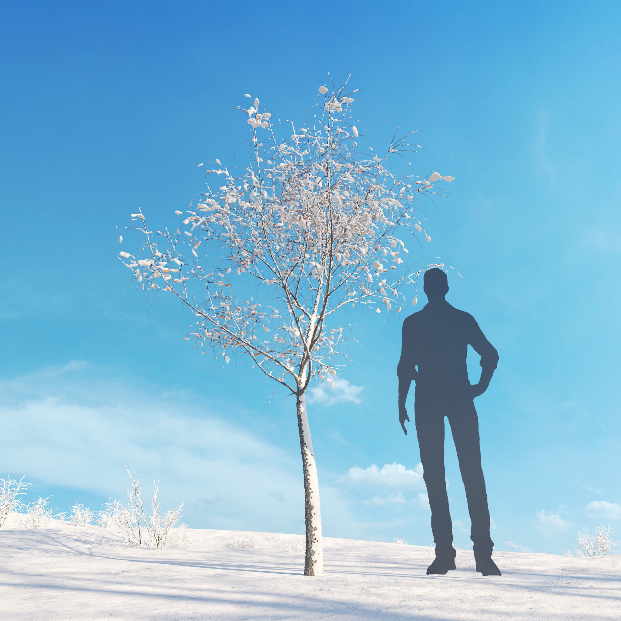 Archmodels vol 278 - collection of winter trees 3D model_48