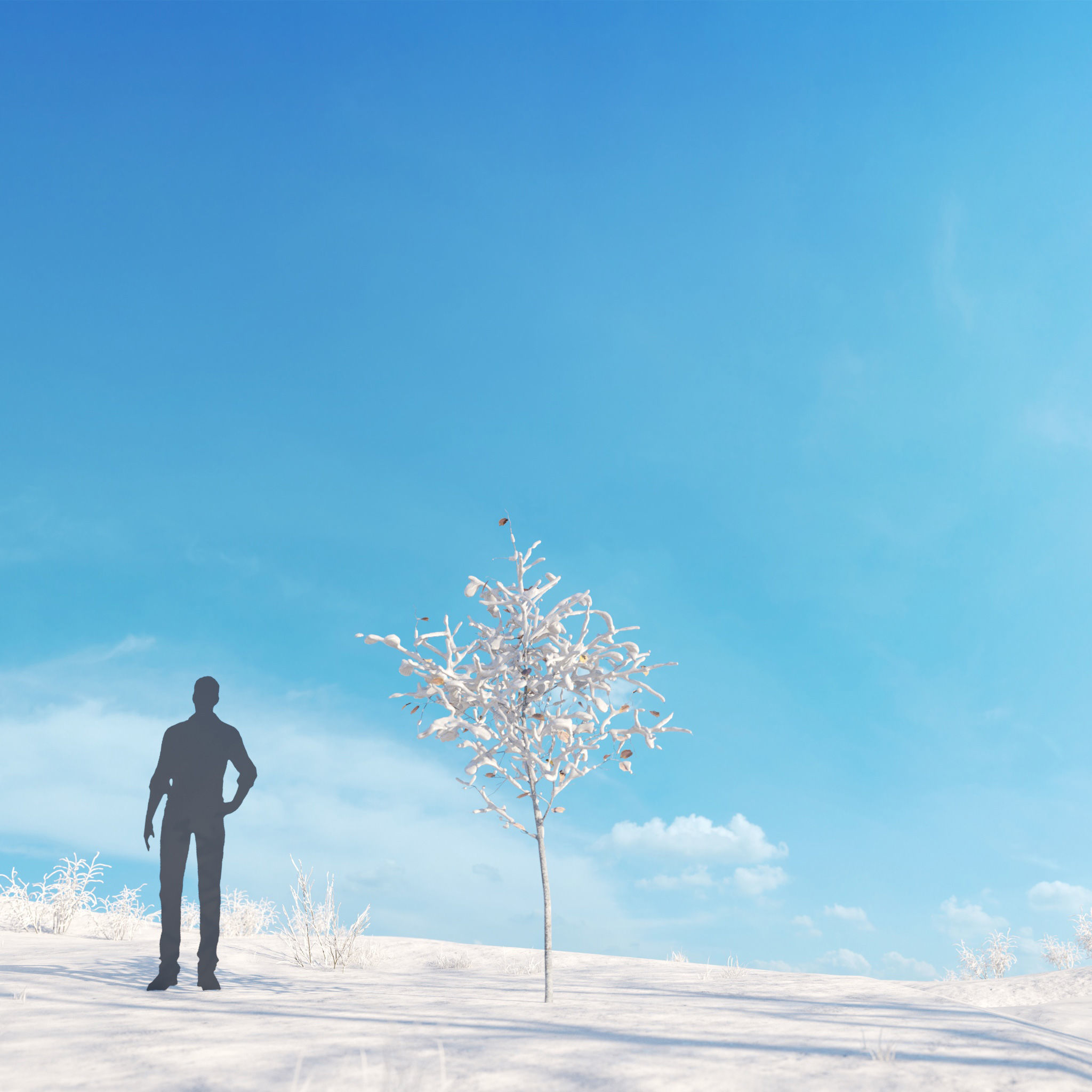 Archmodels vol 278 - collection of winter trees 3D model_38