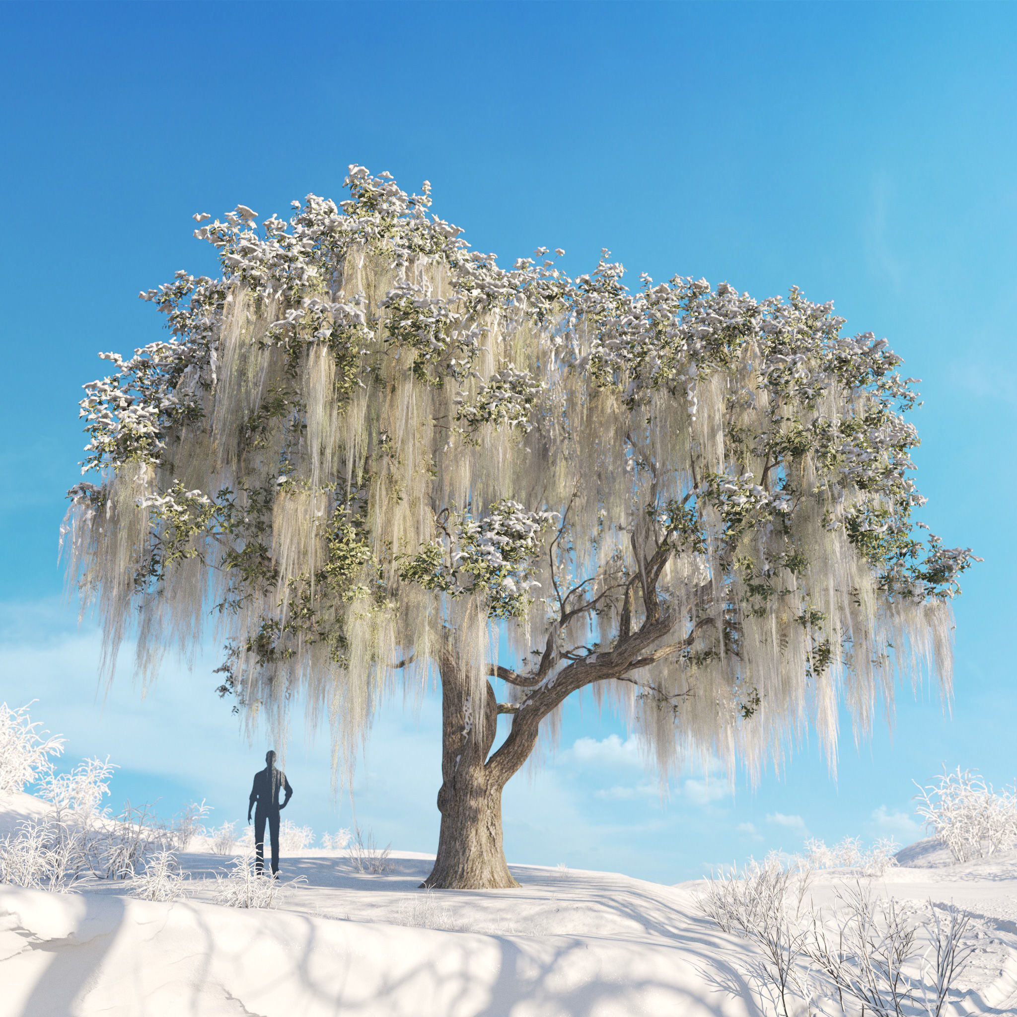 Archmodels vol 278 - collection of winter trees 3D model_56