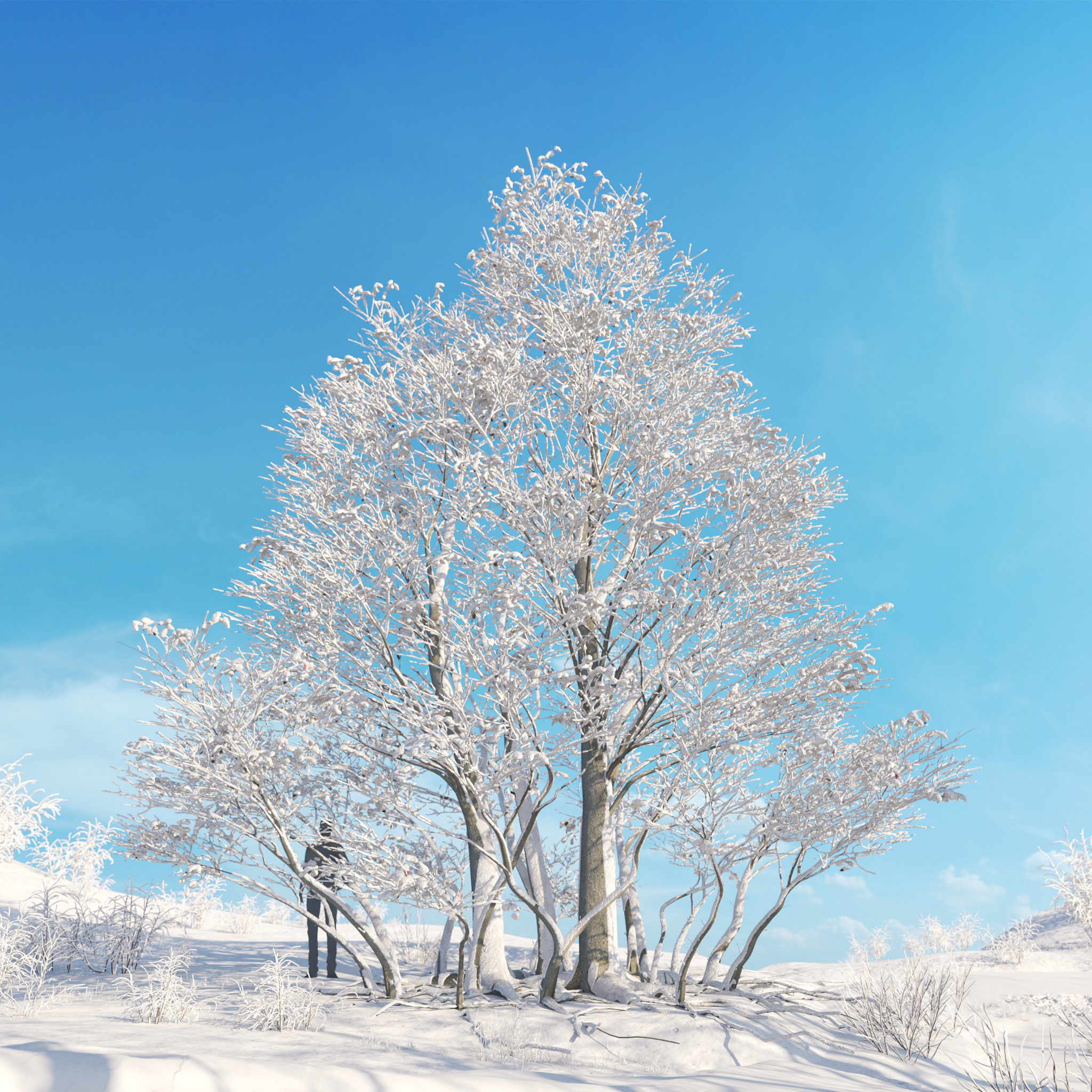 Archmodels vol 278 - collection of winter trees 3D model_3