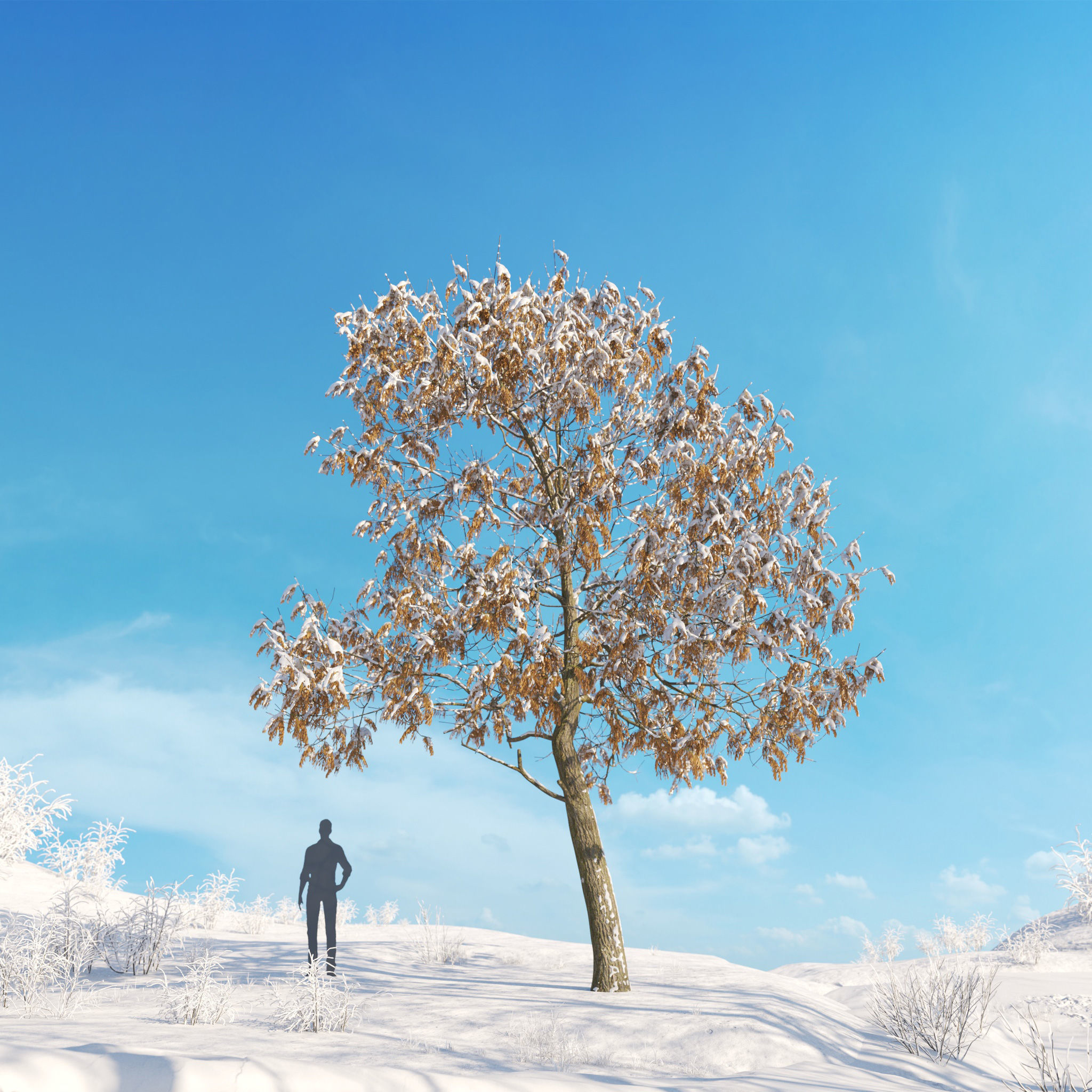 Archmodels vol 278 - collection of winter trees 3D model_25