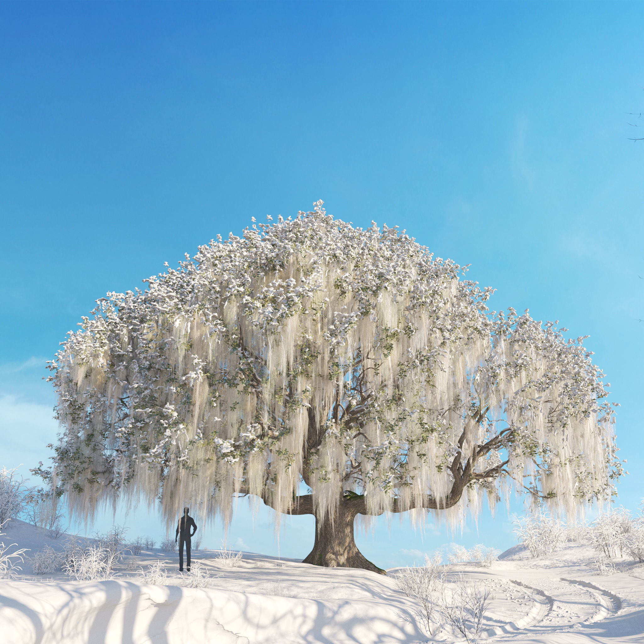 Archmodels vol 278 - collection of winter trees 3D model_55