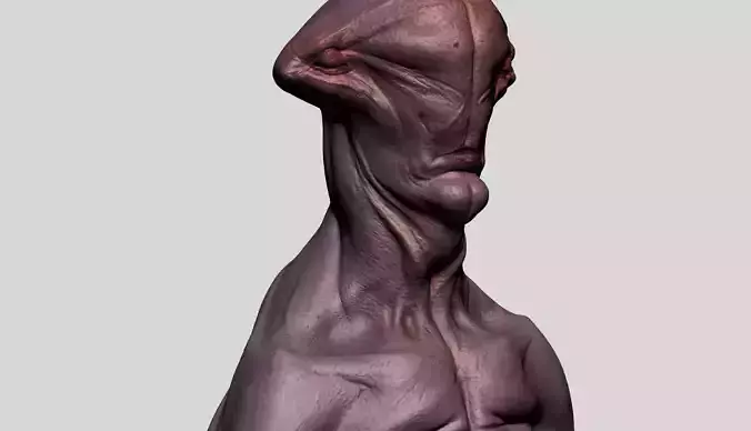 3 Creature Busts