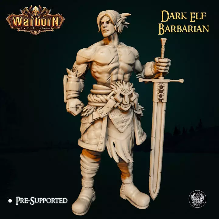 Dark Elf Barbarian 3D print model_0