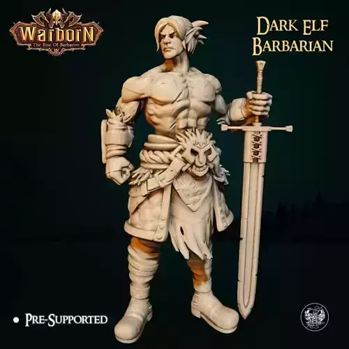 Dark Elf Barbarian