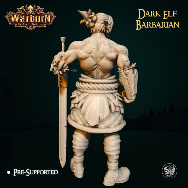 Dark Elf Barbarian 3D print model_1