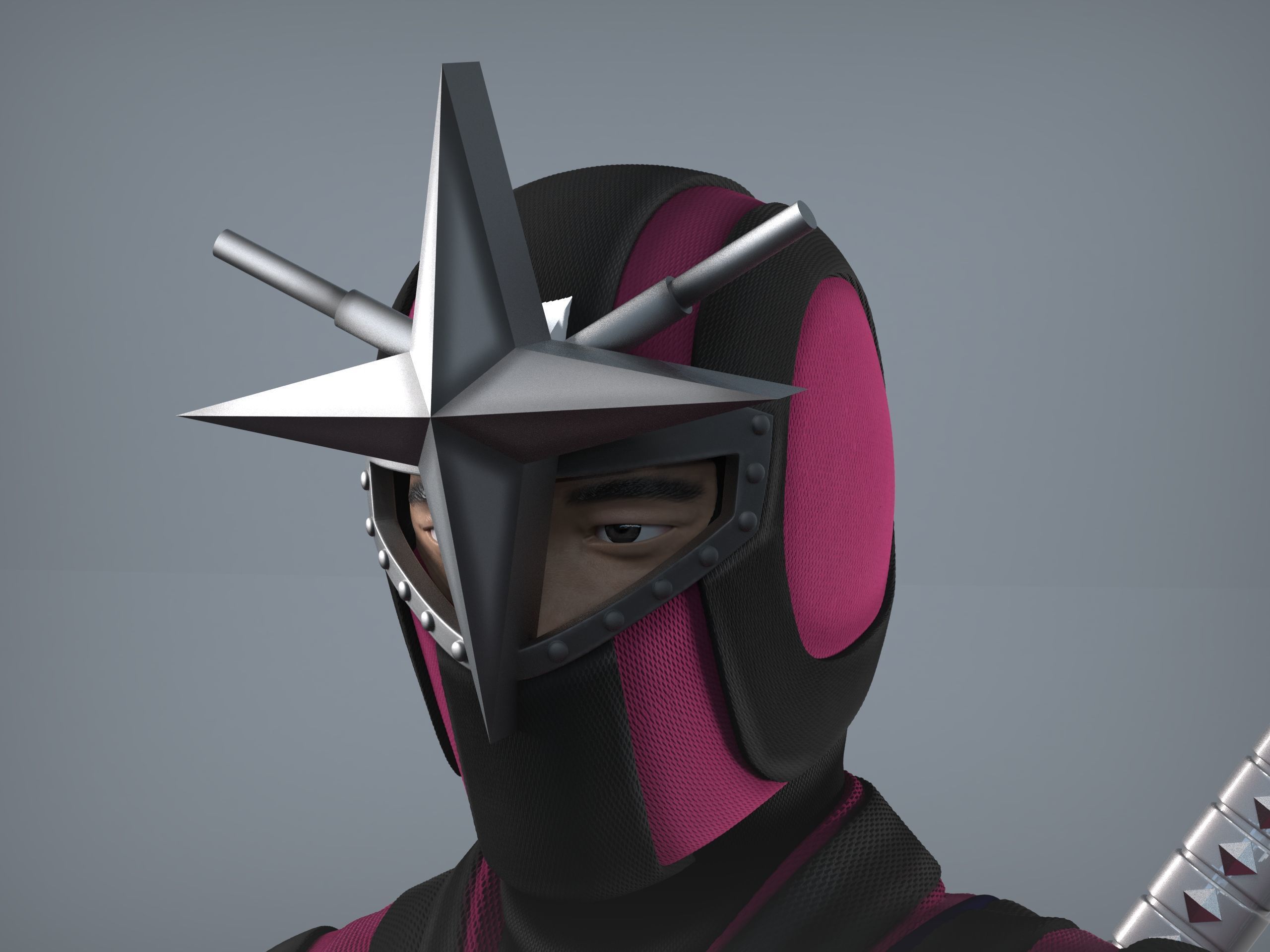 Hoshinin Retsuga 3D print model_2