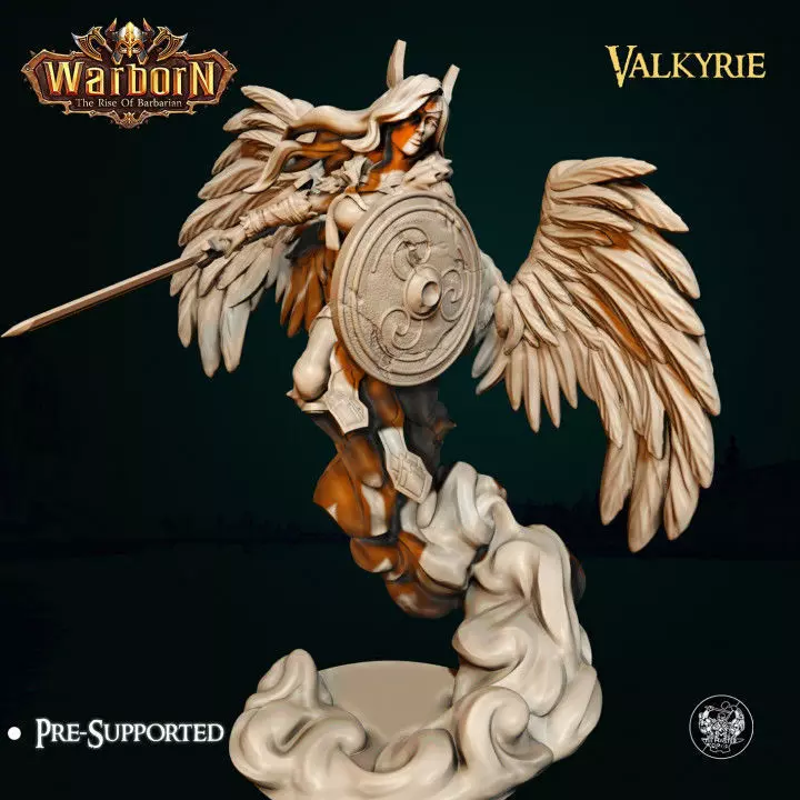 Valkyrie 3D print model