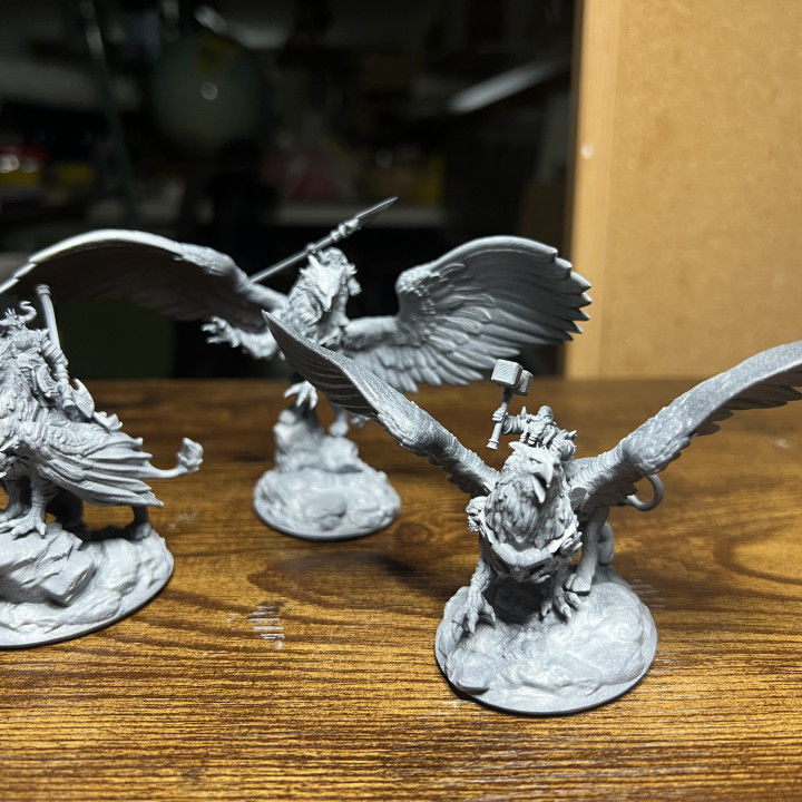 Dwarf Gryphon Rider 3D print model_5