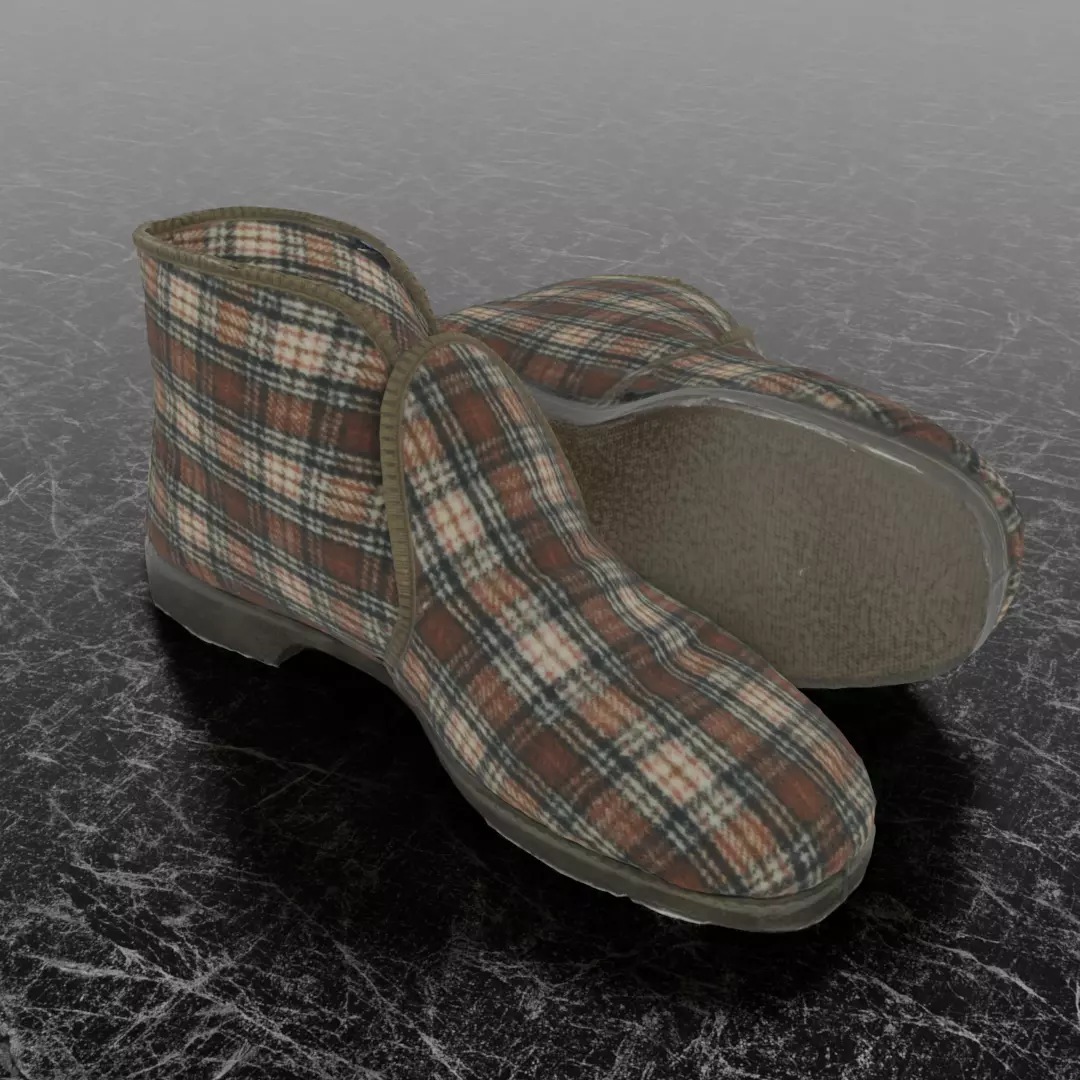 REINO TOSSUT SLIPPER 3D 3D model_0
