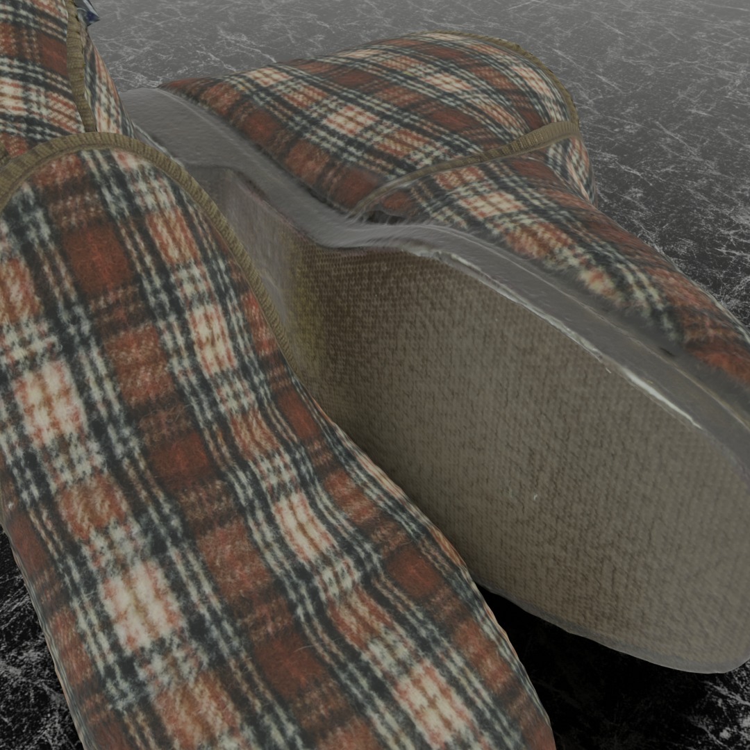 REINO TOSSUT SLIPPER 3D 3D model_10