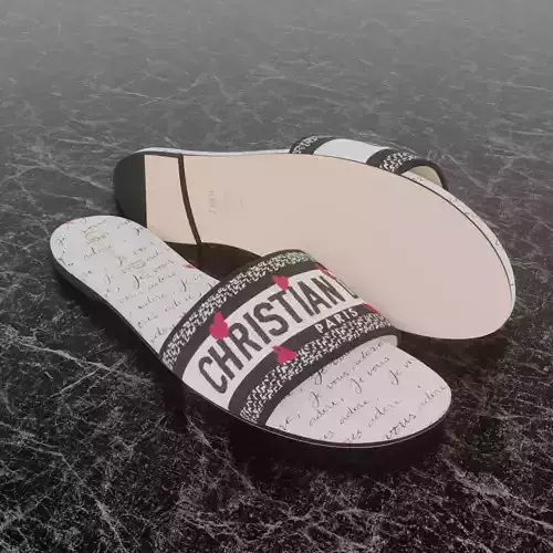CHRISTIAN DIOR DWAY SLIDE 3D SLIPPER 3D model