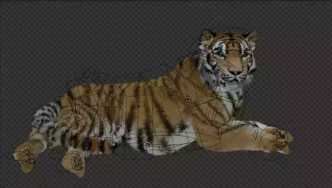 Tiger 