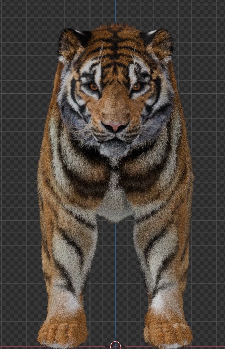 Tiger  Low-poly 3D model_3