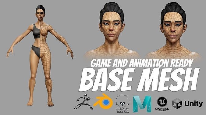 GAME AND ANIMATION READY BASEMESH Free low-poly 3D model