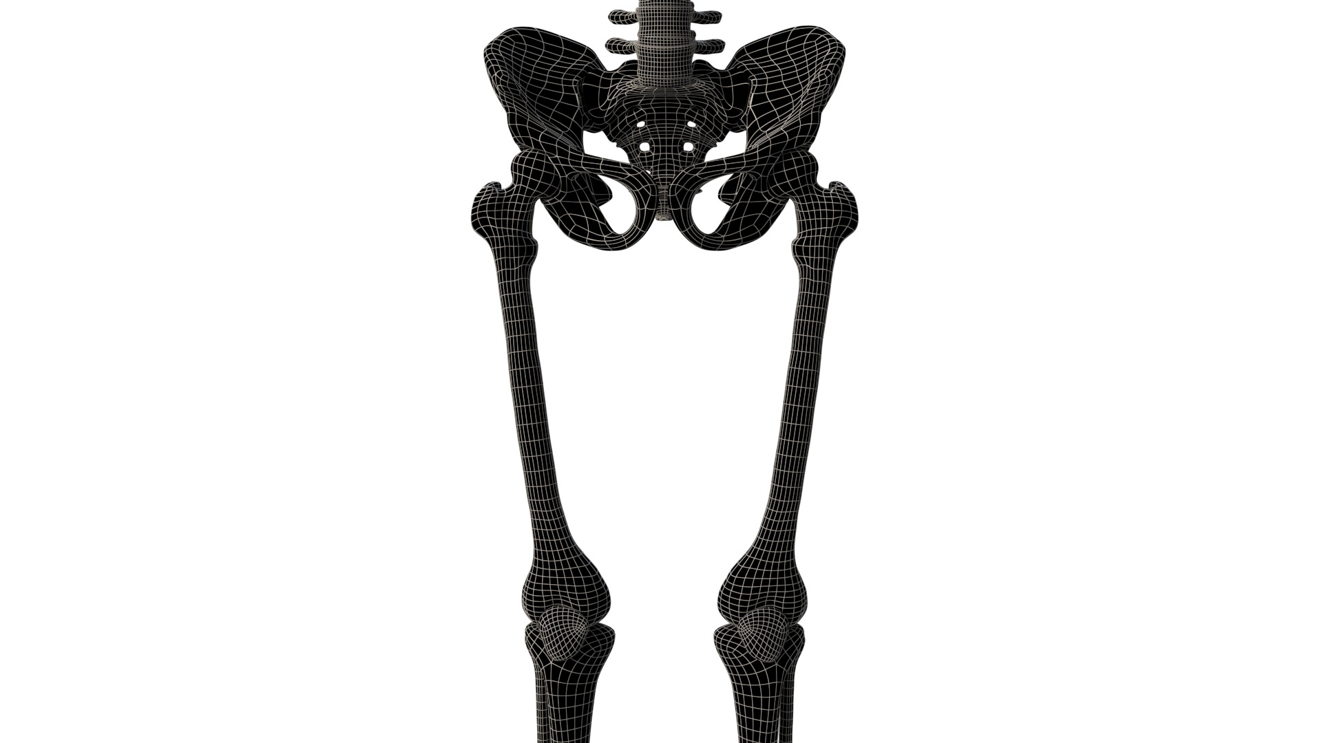 Human Skeleton 3D model_16