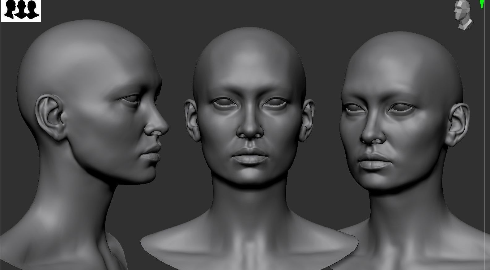 Asian Female Head Basemesh 3D model_2