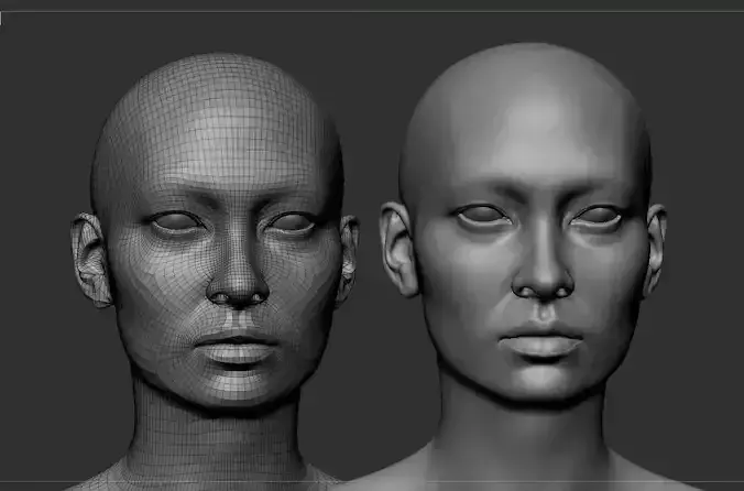 Asian Female Head Basemesh 3D model
