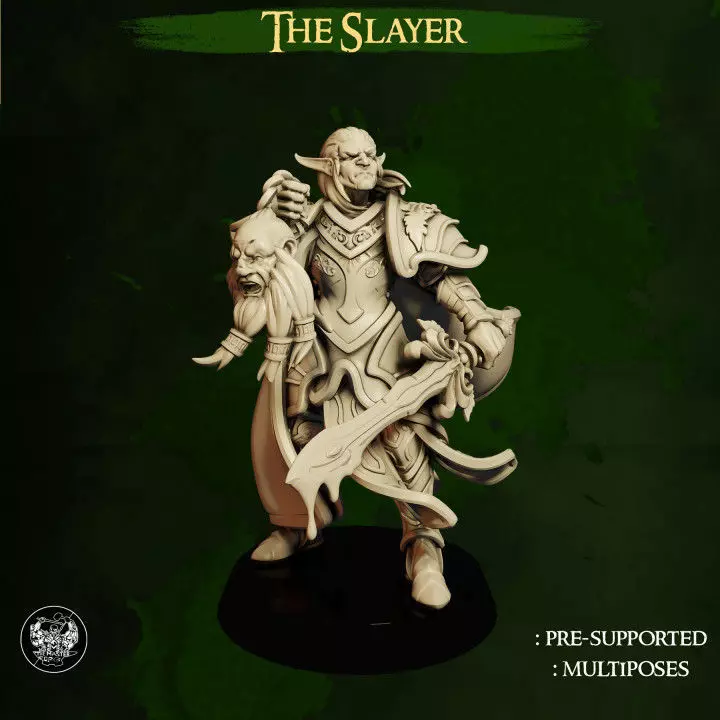 High Elves - The Slayer 3D print model