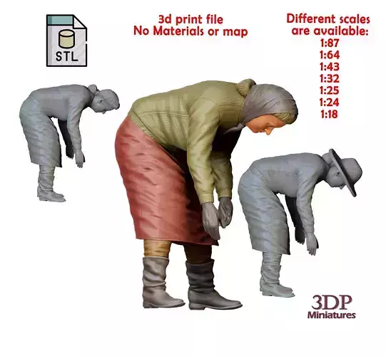 N3 Farmers woman bend over harvesting 