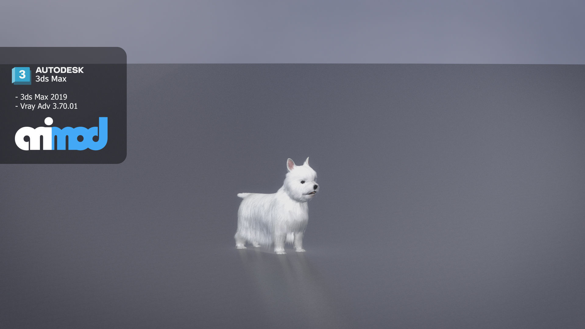 White Terrier Dog 3D model_1