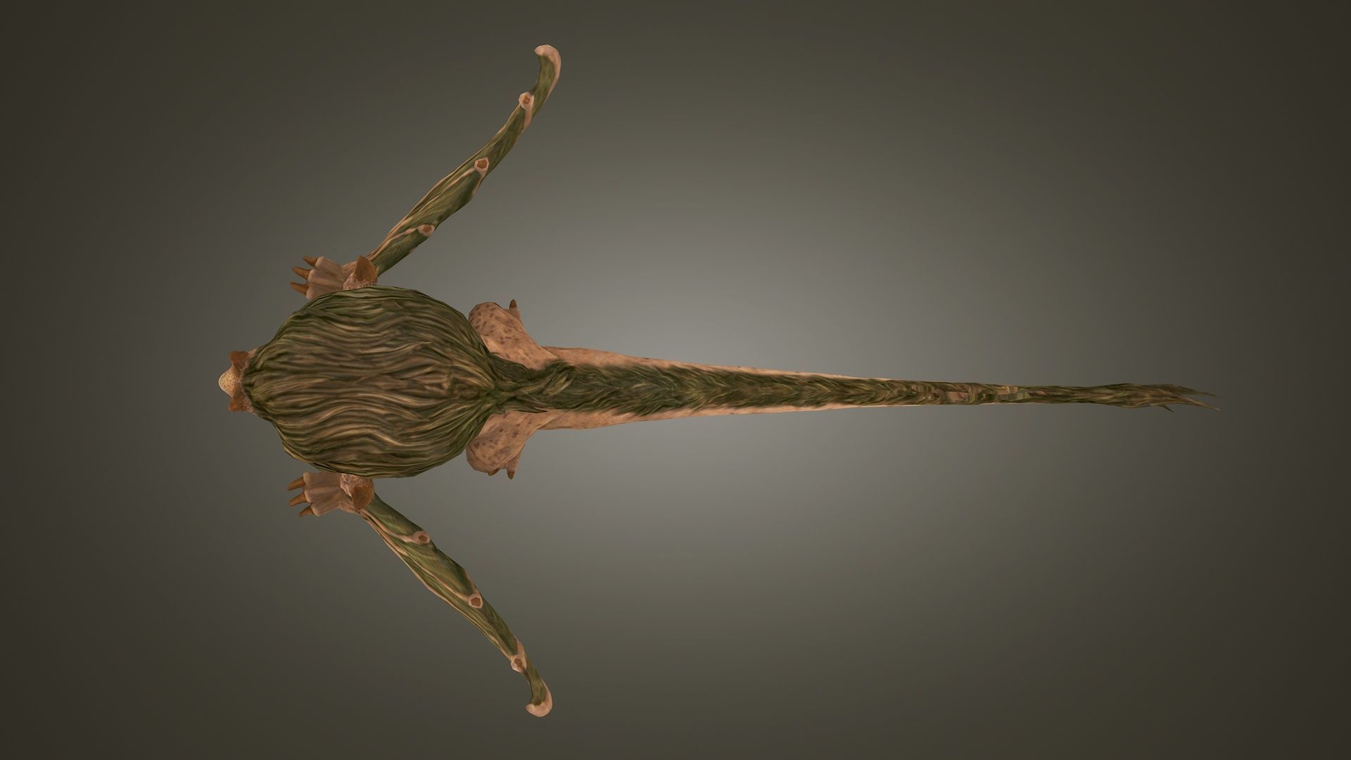 Stylized FurDragon Low-poly 3D model_8