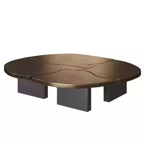 Pangea Coffee Table by Douglas Fanning