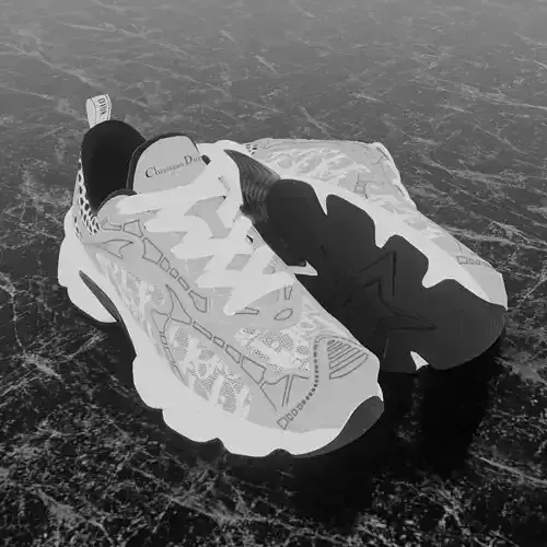 CHRISTIAN DIOR VIBE 3D SHOES