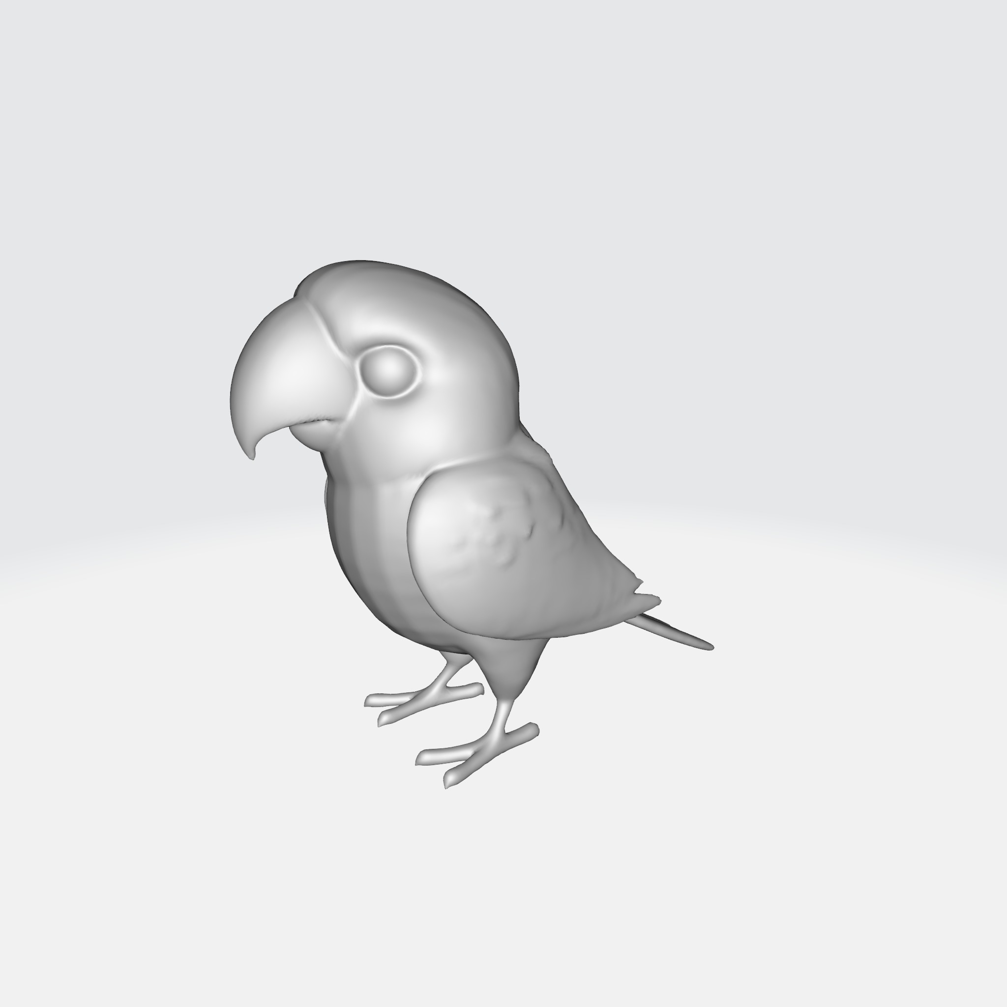 Adorable Parakeet 3D model_5