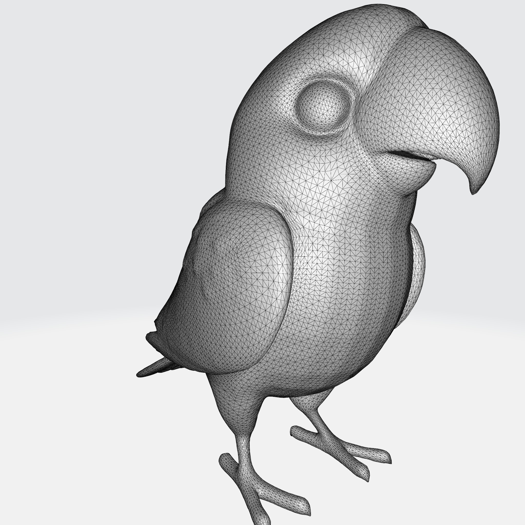 Adorable Parakeet 3D model_8