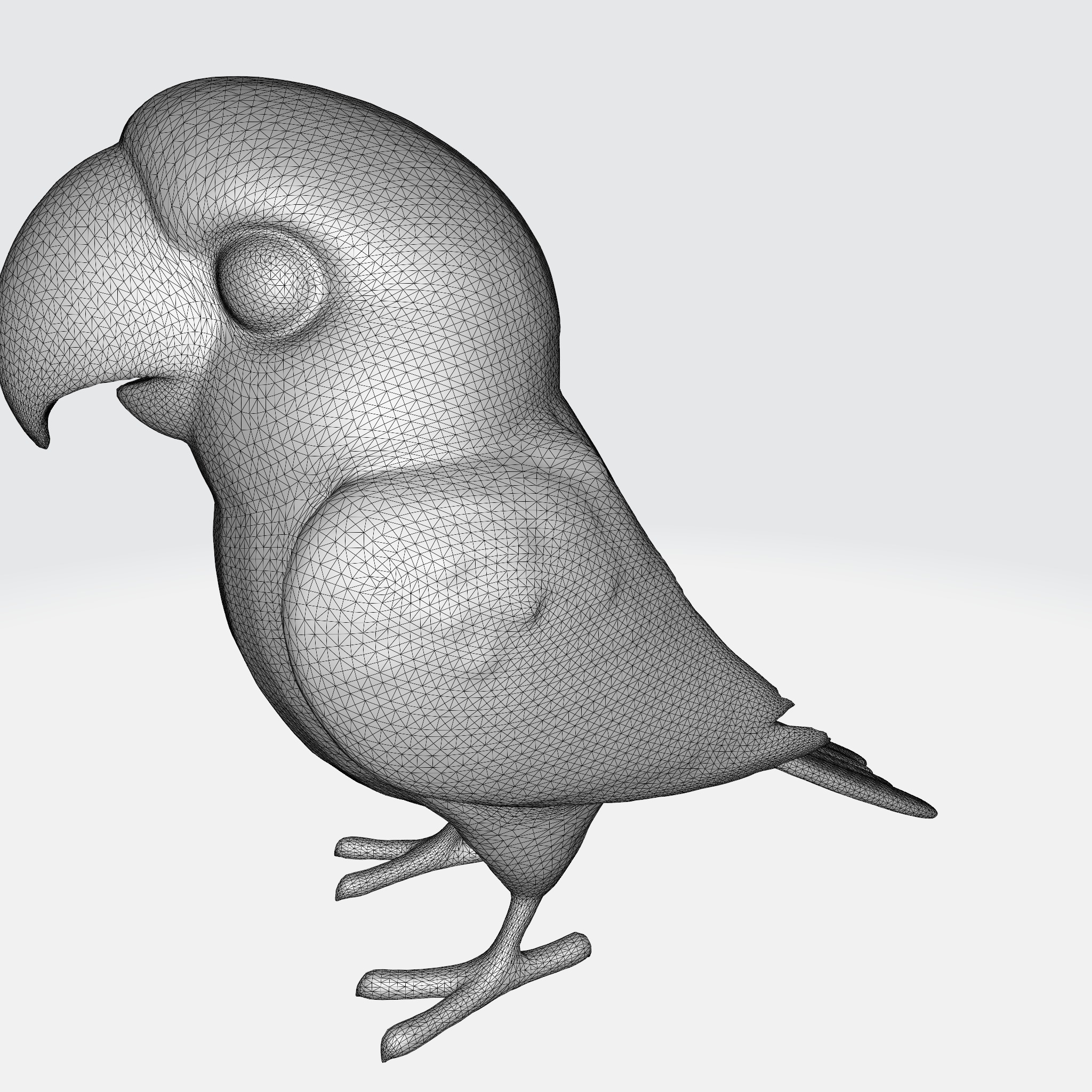 Adorable Parakeet 3D model_7